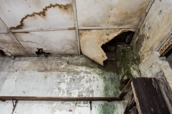 Water Damage Service in New Braunfels