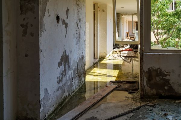 Water Removal Service in New Braunfels