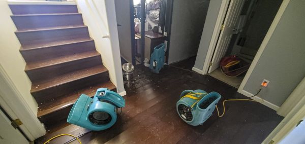 Water Damage Remediation in New Braunfels
