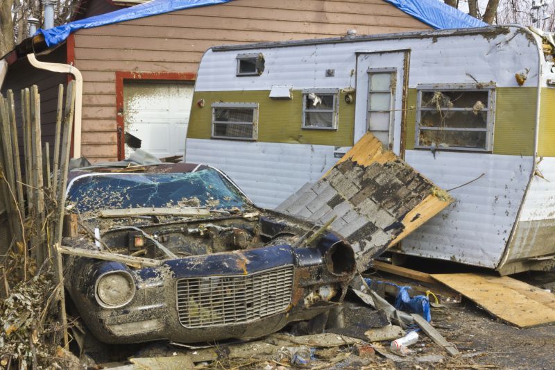 Disaster Restoration Service detail